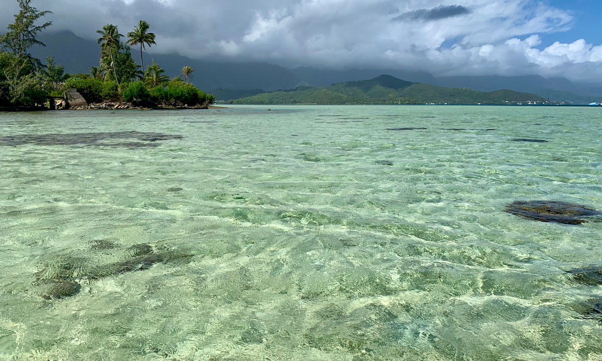 paddle boarding coconut island kaneohe oahu hawaii 3