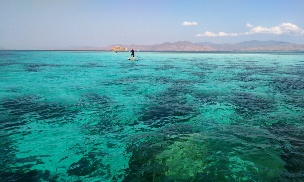 d sup wilderness adventures komodo expedition