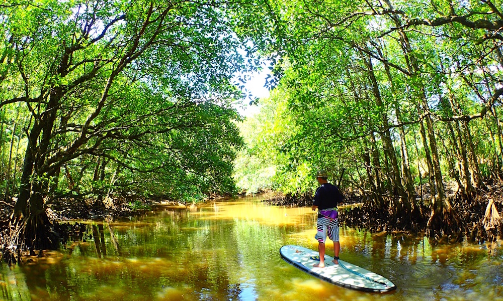 6 places to paddle japan iriomote 4