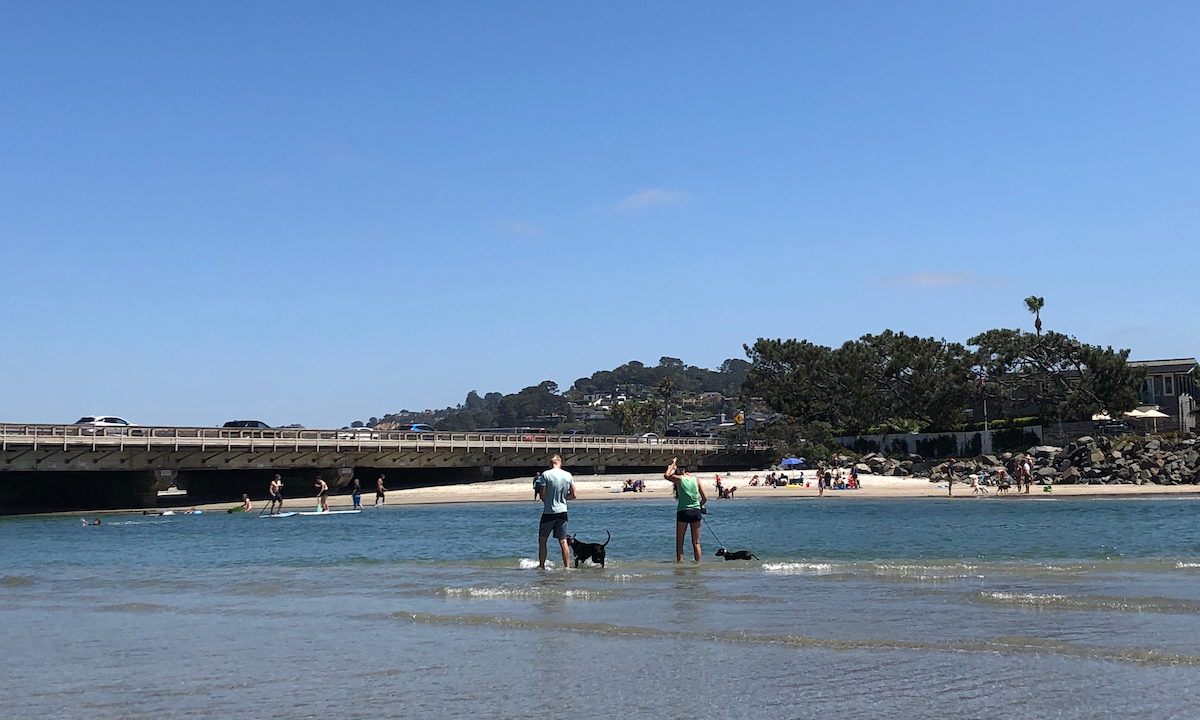 del mar dog beach