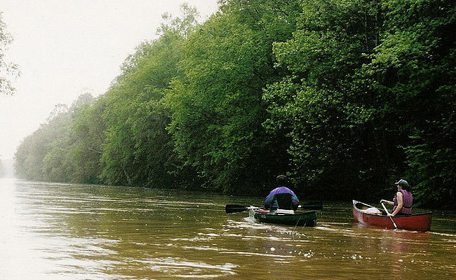 wolfriver-sup-standuppaddleboardingtennessee