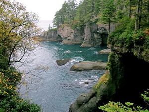 CAPE-FLATTERY-POINT-by-tom-hanny-1