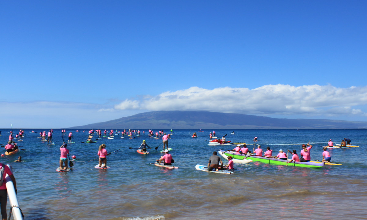 maui paddle for a cure 2015 2