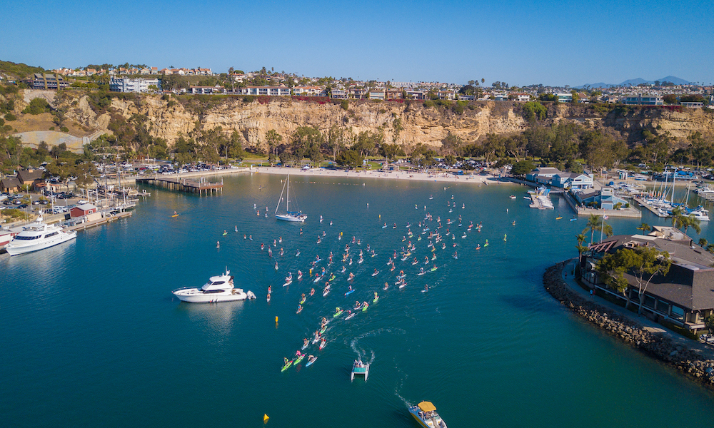 Dana Point Harbor Hoot