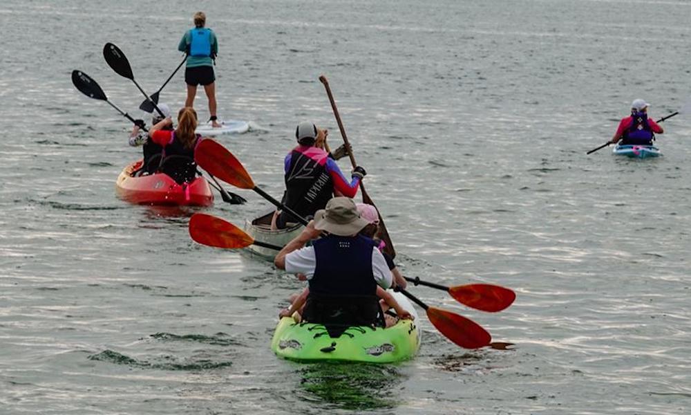 august 2019 events of the month Paddle 4 the Pool