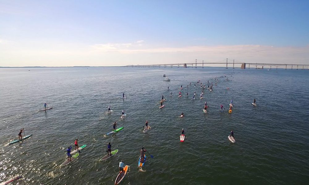 bay bridge paddle