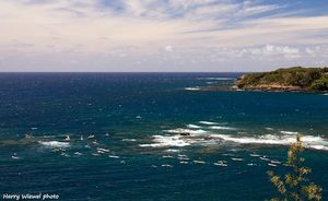 maui-paddleboard-championships-2013-photo-by-harry-wiewel