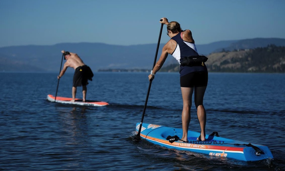 pihl paddle for prevention