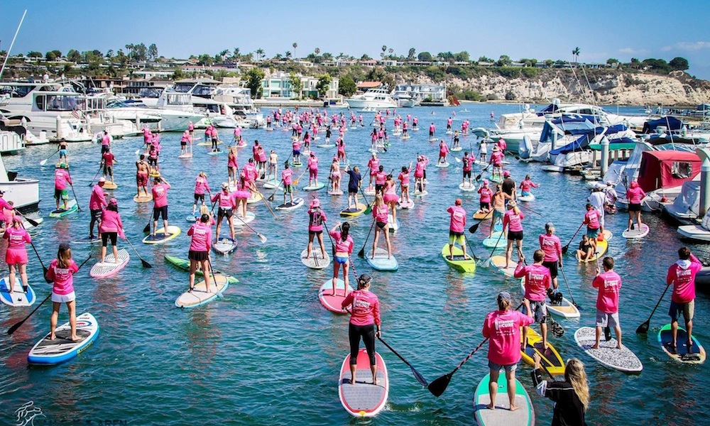 standup for the cure 2015