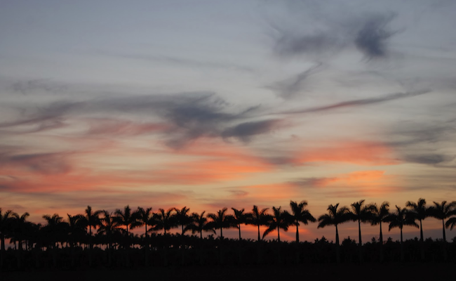 justin-florida-sky