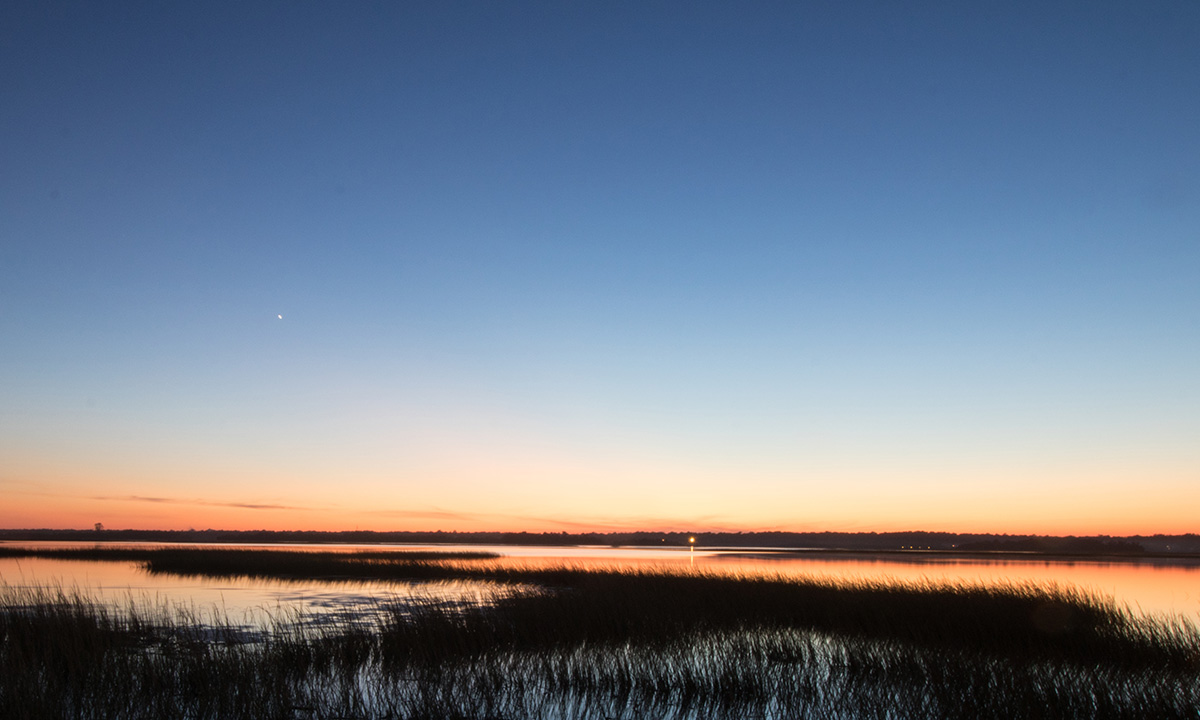 masonboro island