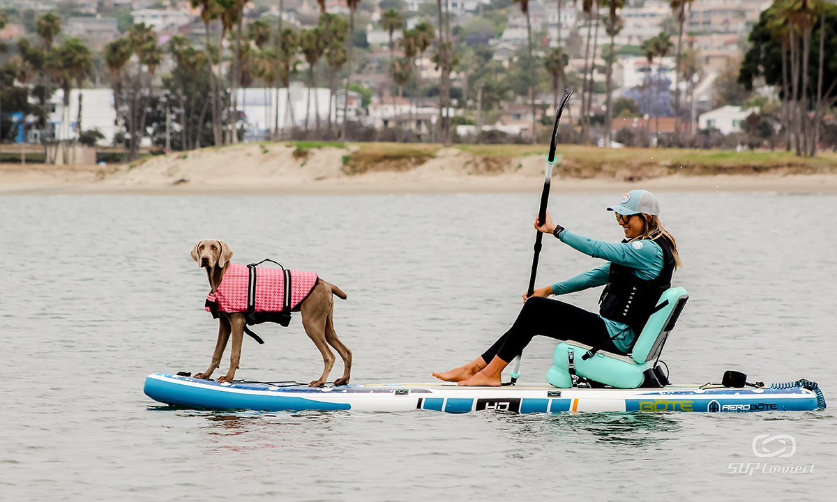 BOTE HD Aero Whaleshark SUP Review 2022