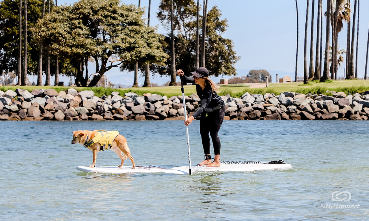 best all around standup paddle board 2023 surftech lido