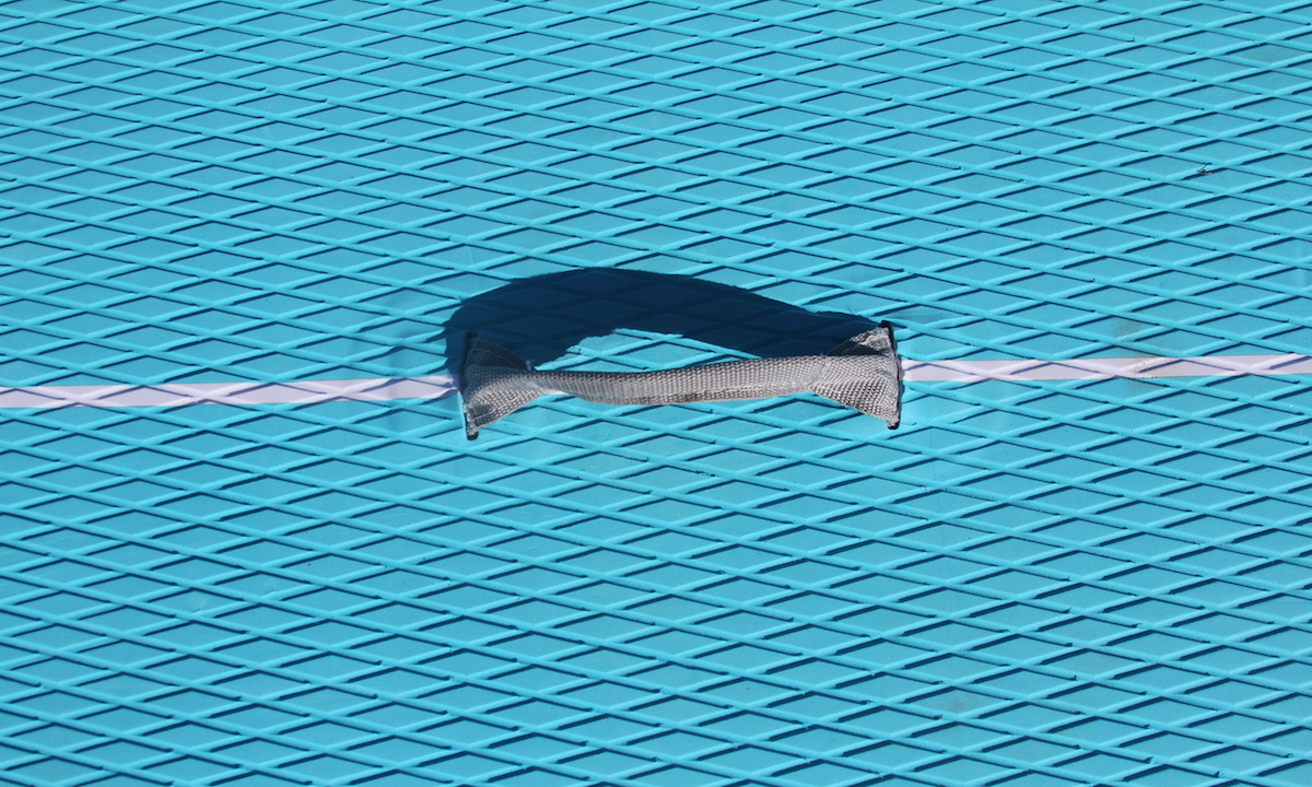 IMG 2362