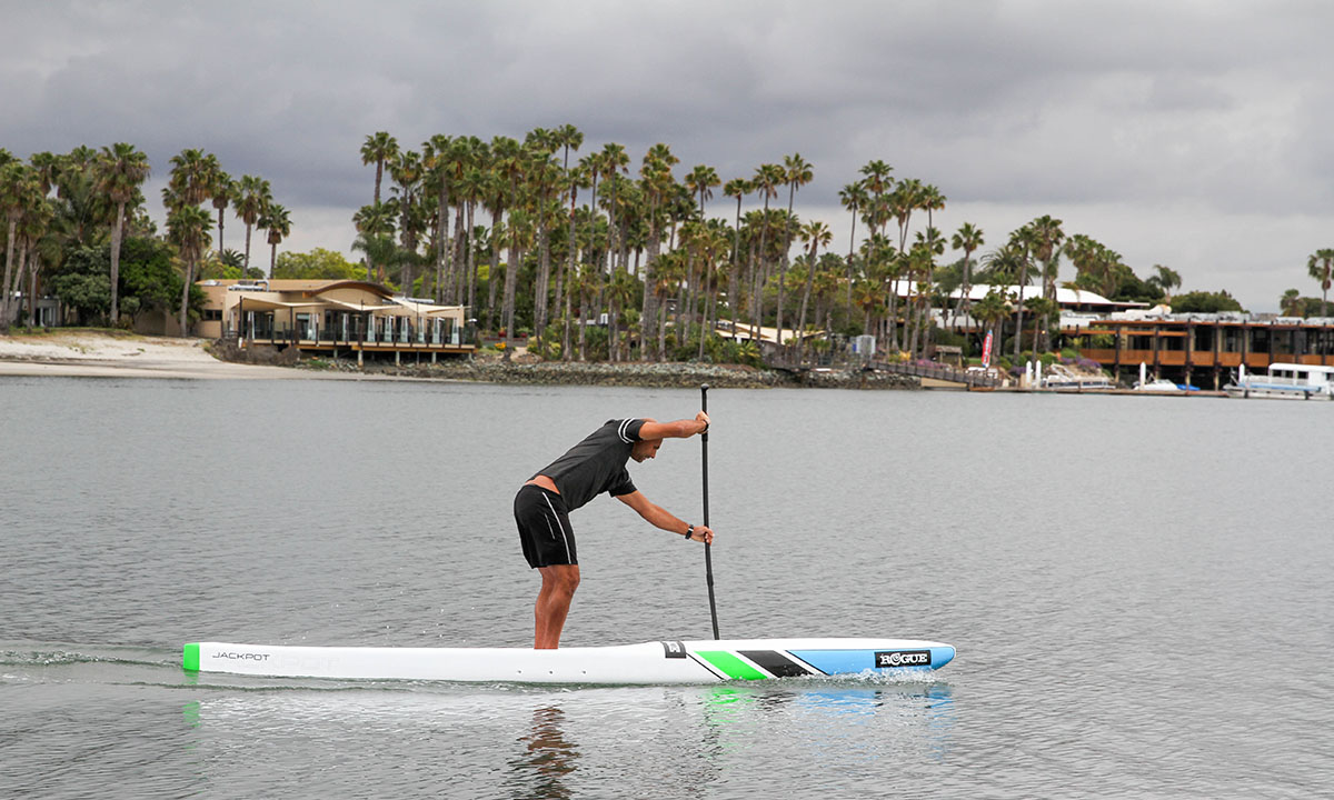 Rogue Jackpot Paddle Board Review 2020