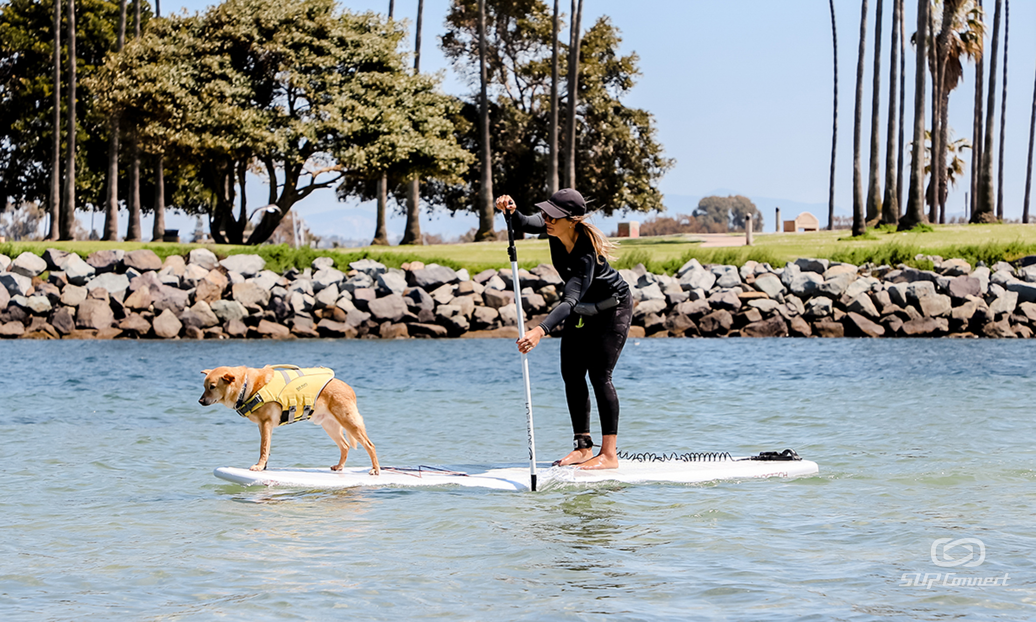 Surftech Lido Paddle Board Review 2023