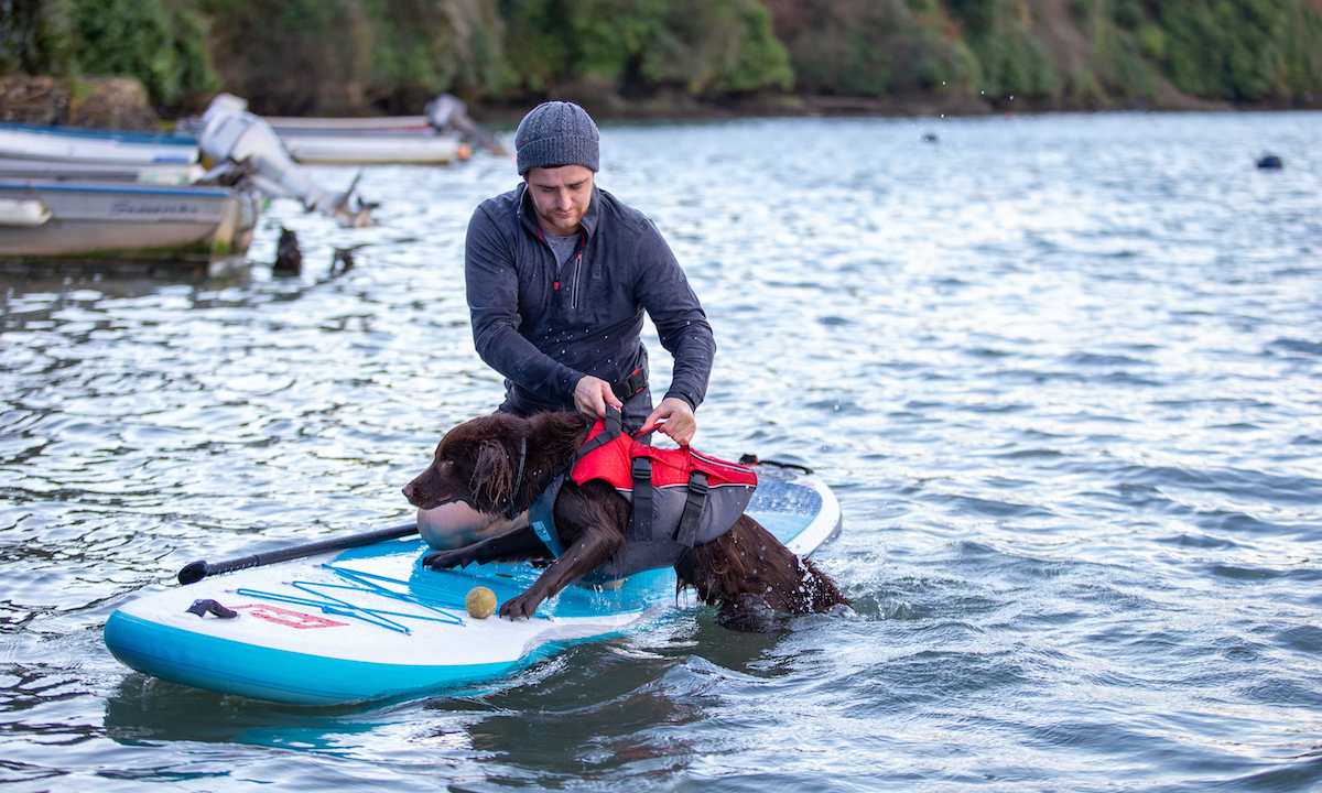 red paddle co dog pfd