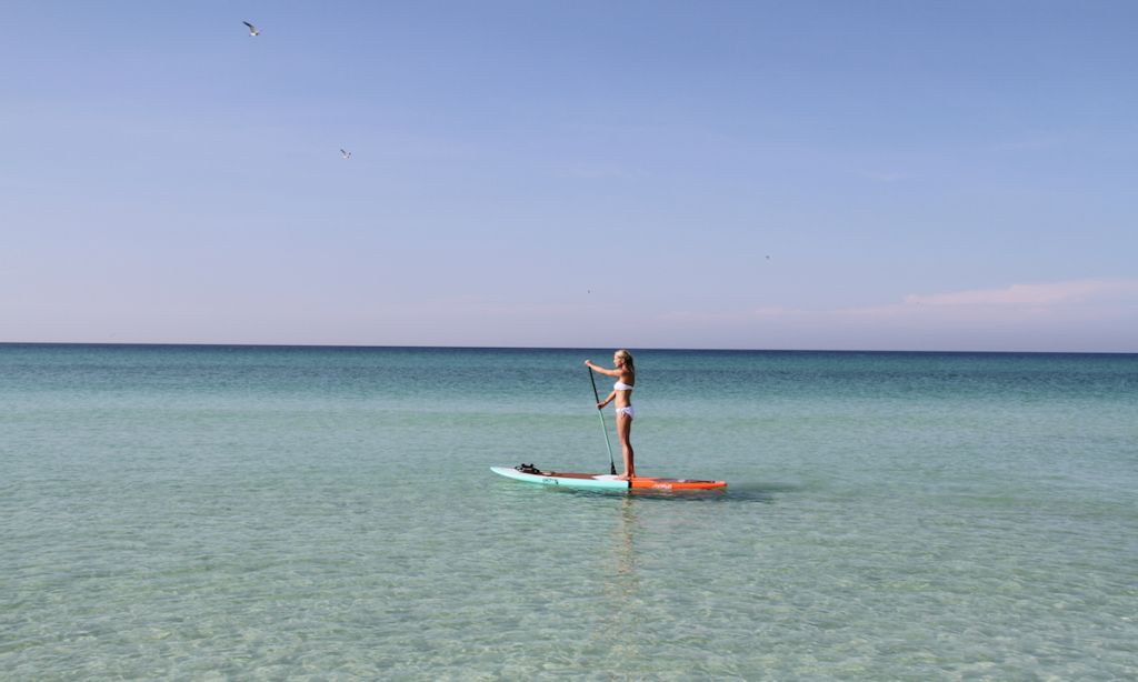 history of sup florida