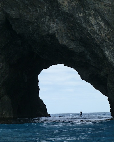 sup-new-zealand