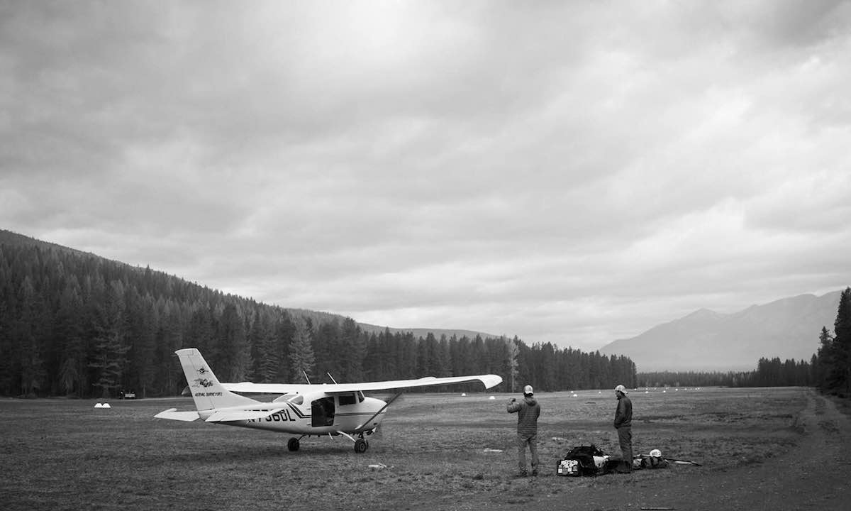 fight to soar southfork flathead river 1