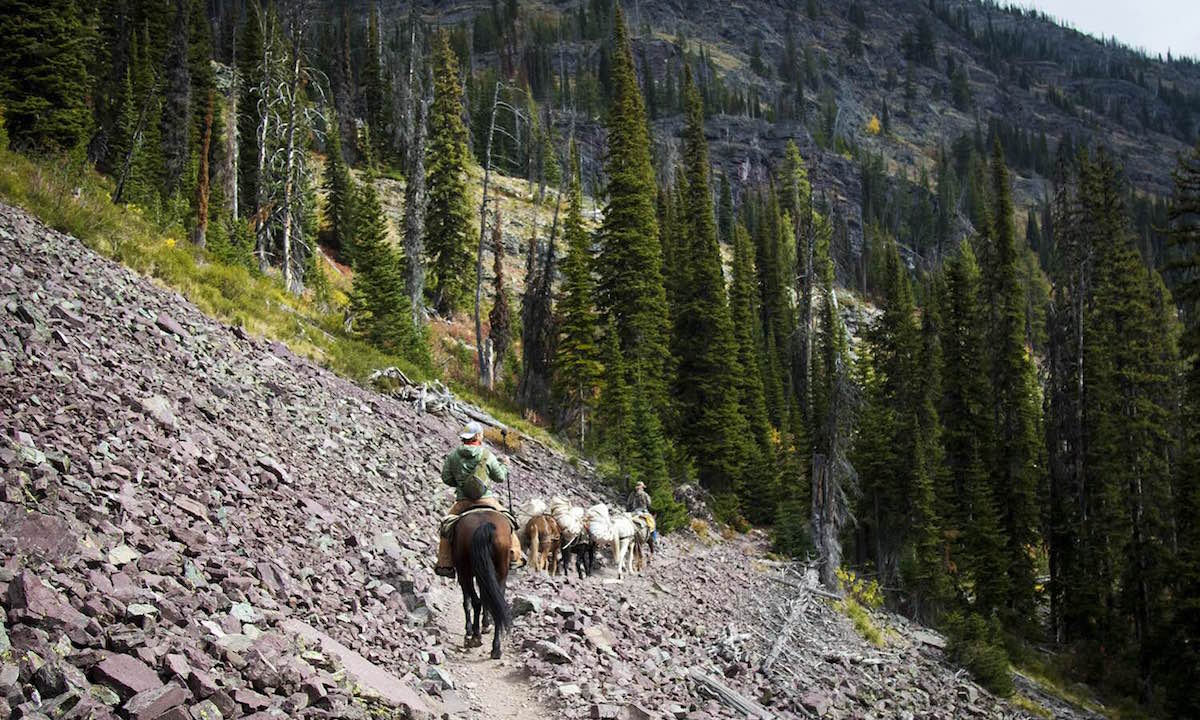 fight to soar southfork flathead river 9