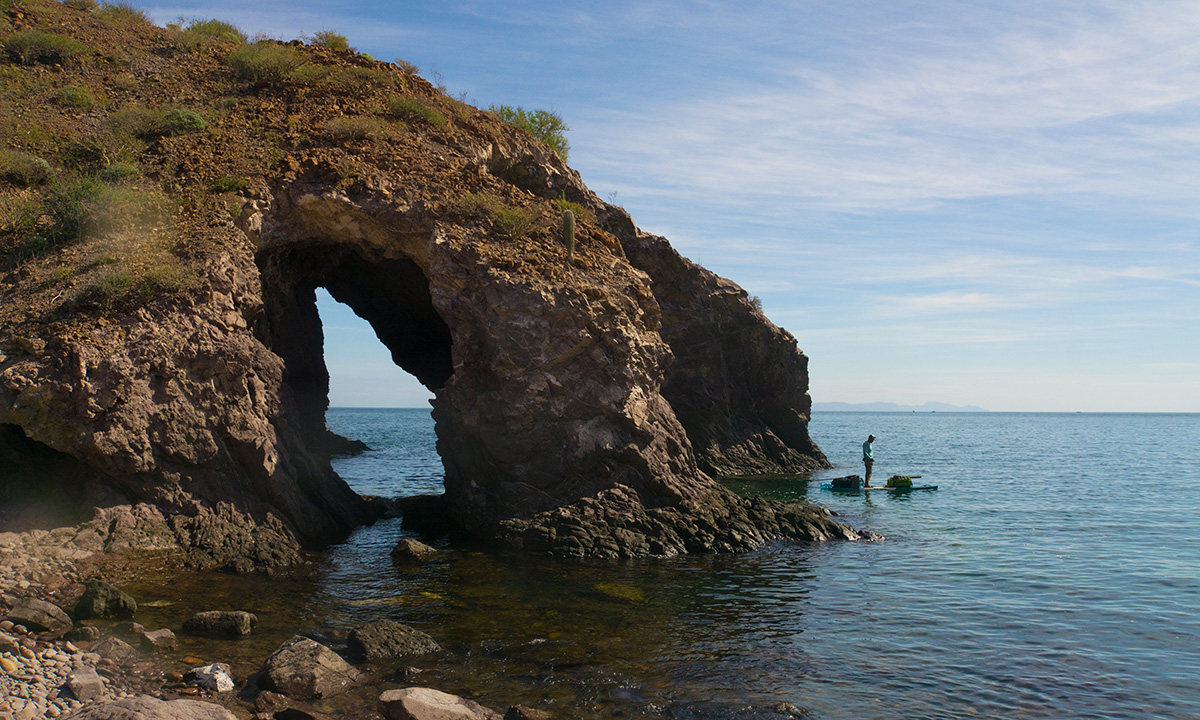 paddling with porpoise pt1