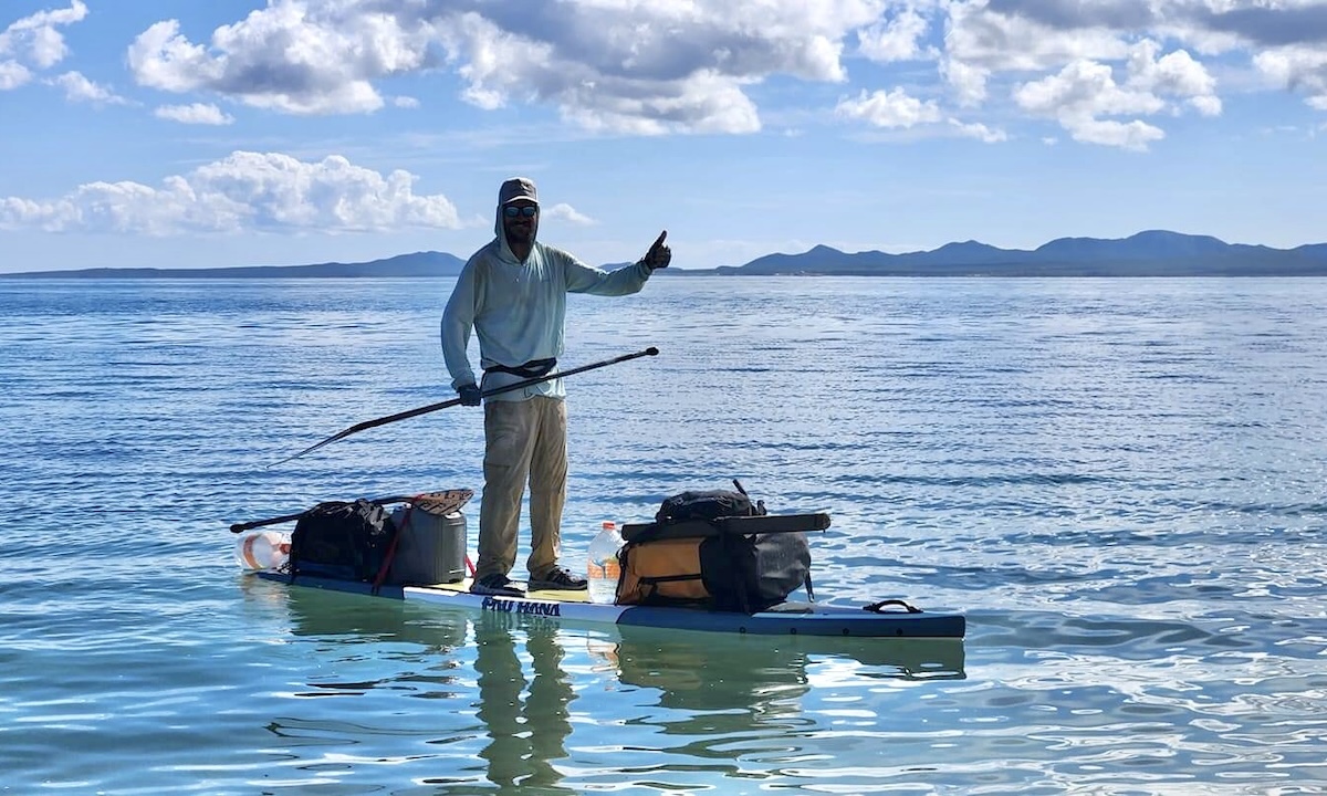 paddling with porpoise conclusion 1