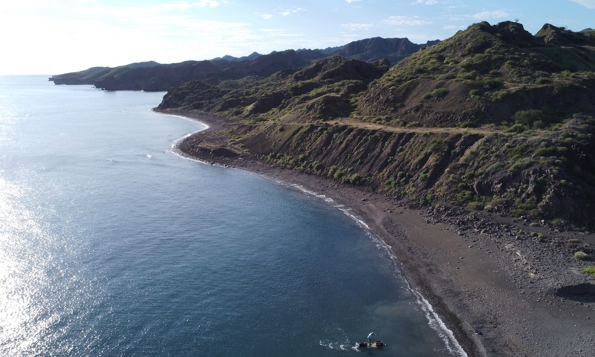 paddling with porpoise conclusion 6