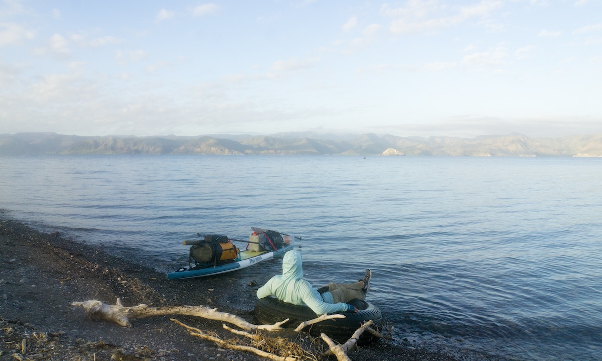 paddling with porpoise conclusion 5
