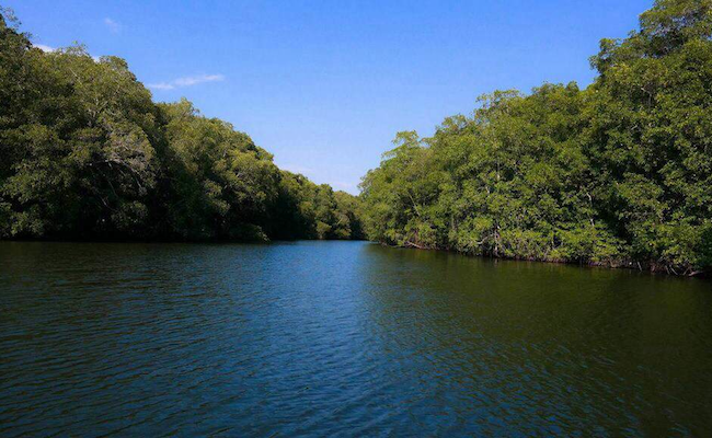 casa-kickapoo-estuary