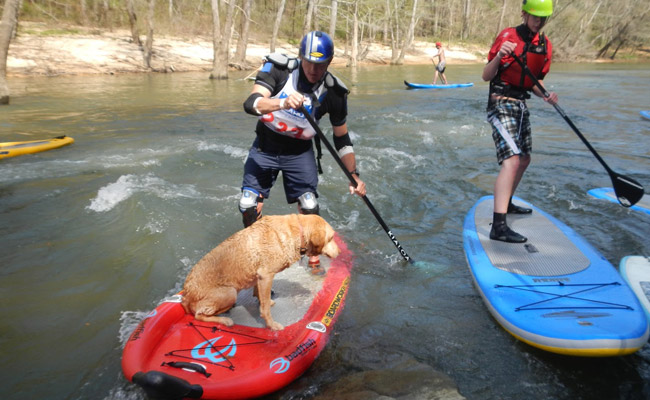 alabama-standuppaddleboard-supinflatable1