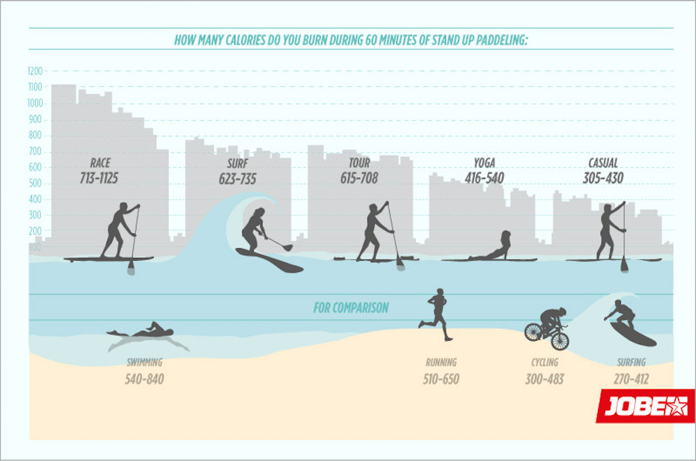 jobe 5 reasons sup fitness infographic