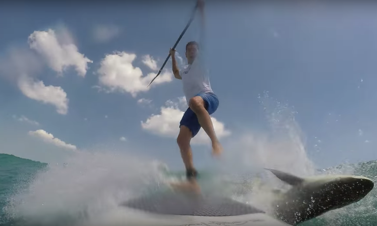 top sup news 2016 3