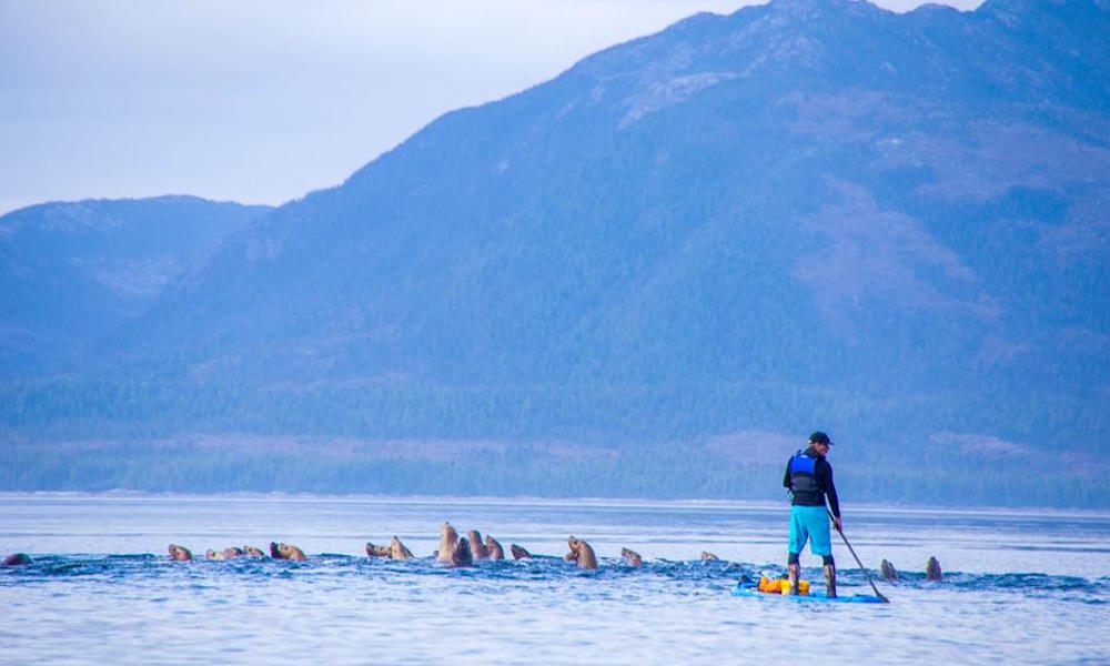 pipeline sup protest expedition 2