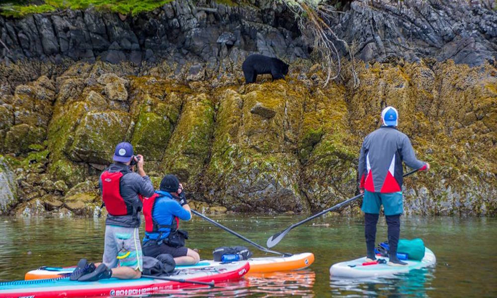 pipeline sup protest expedition