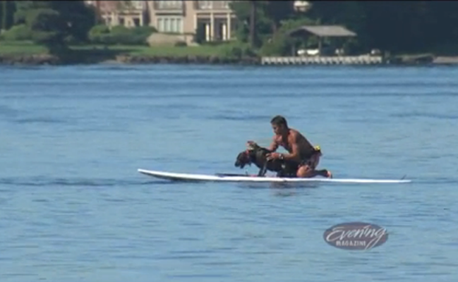 paddleboarder-saves-dog