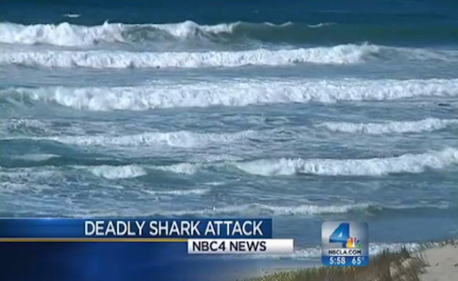 Deadly-Shark-Attack-10-23-12