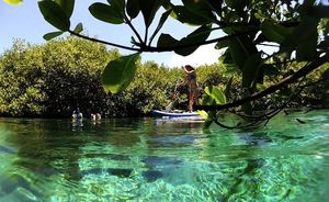 Mickey-Roy-Mexican-Cenote-Supconnect_photo-Contest-Aug-2013