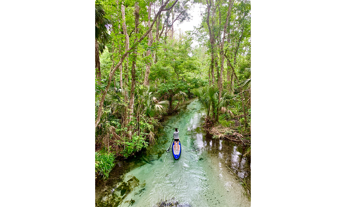 top sup photo 2020 bridget beury