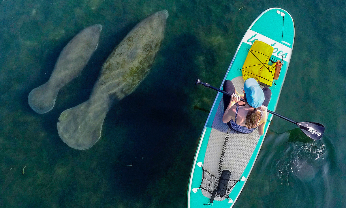 top sup photo 2020 kevin biskaborn