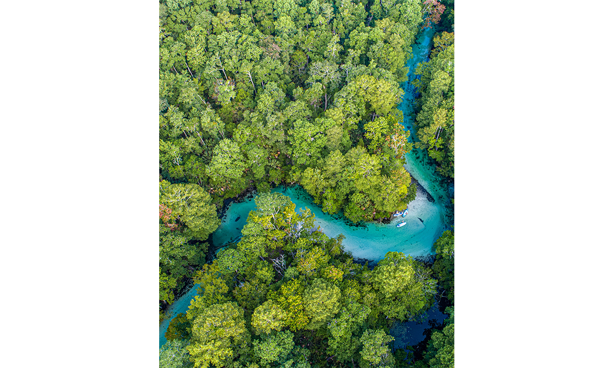 top sup photo 2020 matthew majka