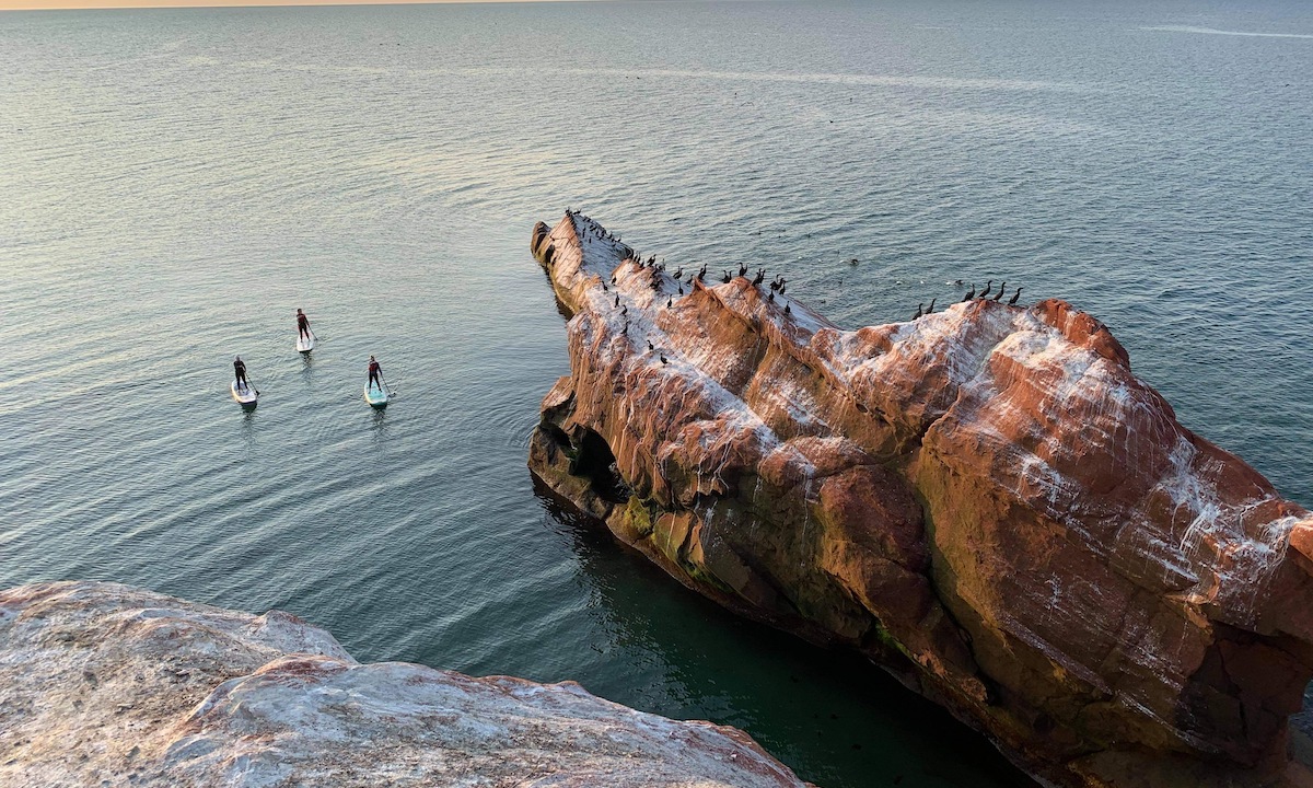 top sup photo 2020 dave merrill