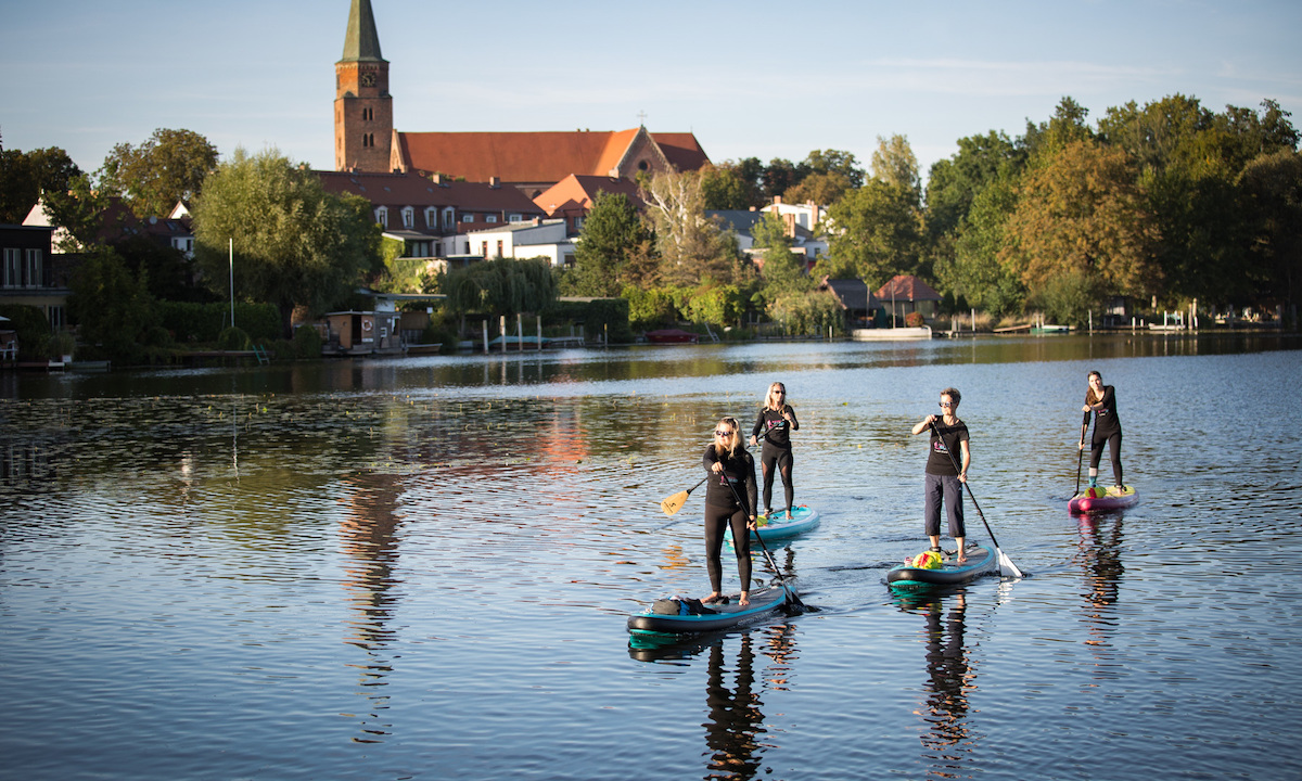 top sup trends 2020 rise