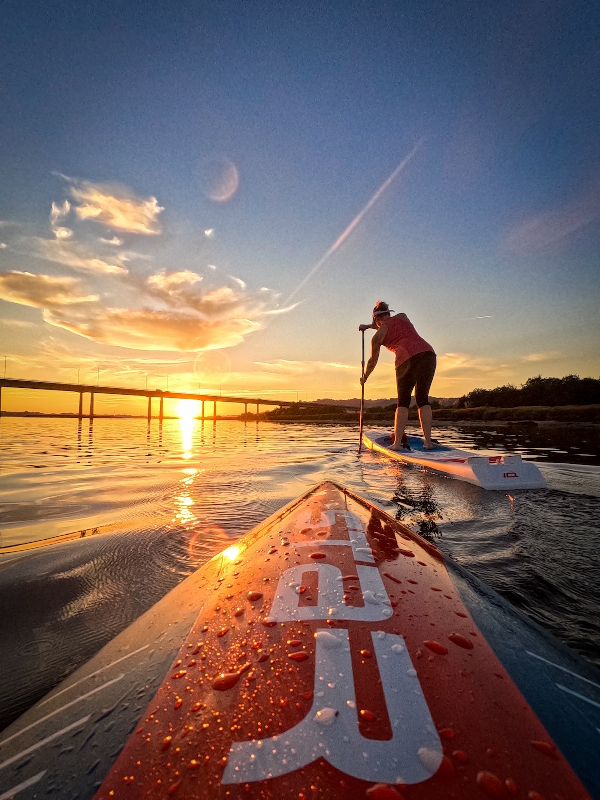 photo of the week
