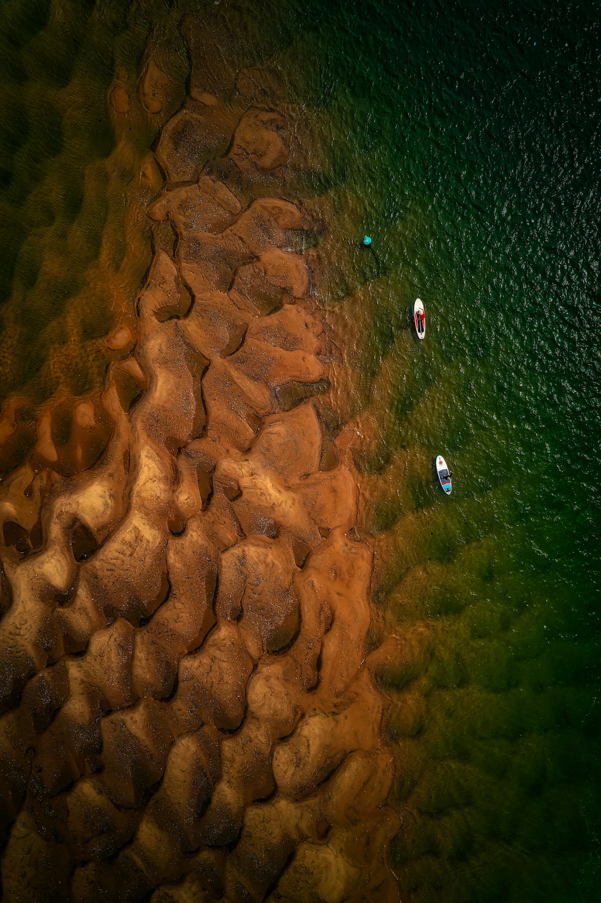 photo of the week