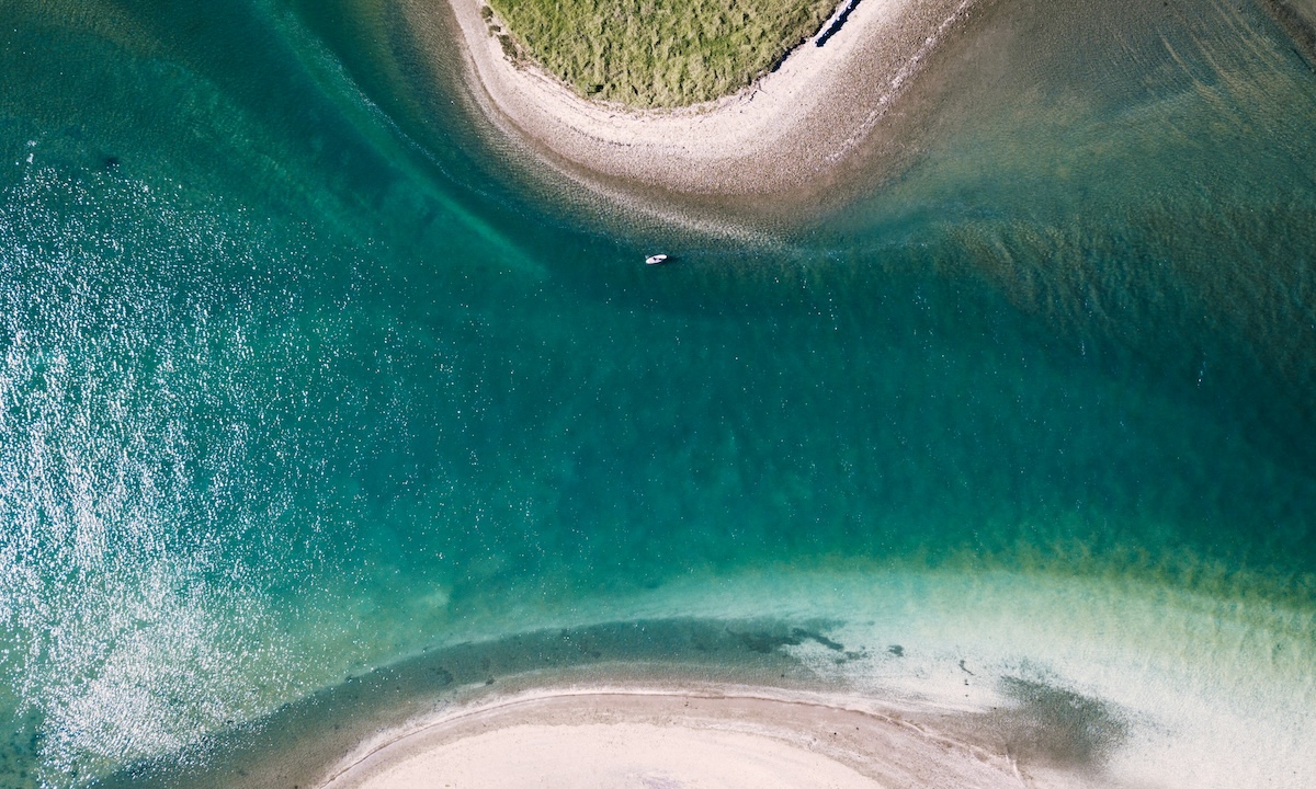 photo of the week