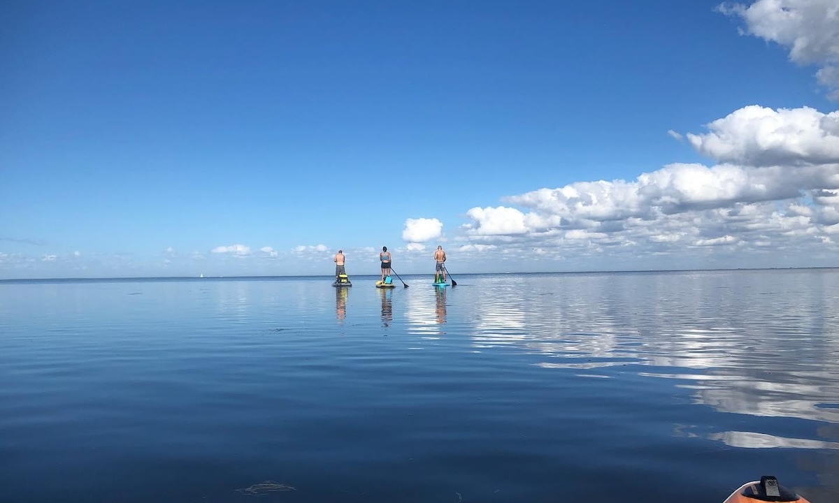 photo of the week