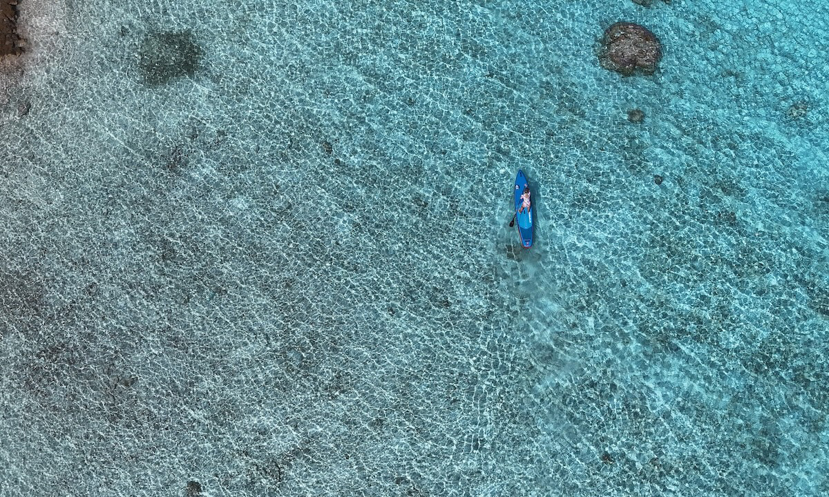 photo of the week