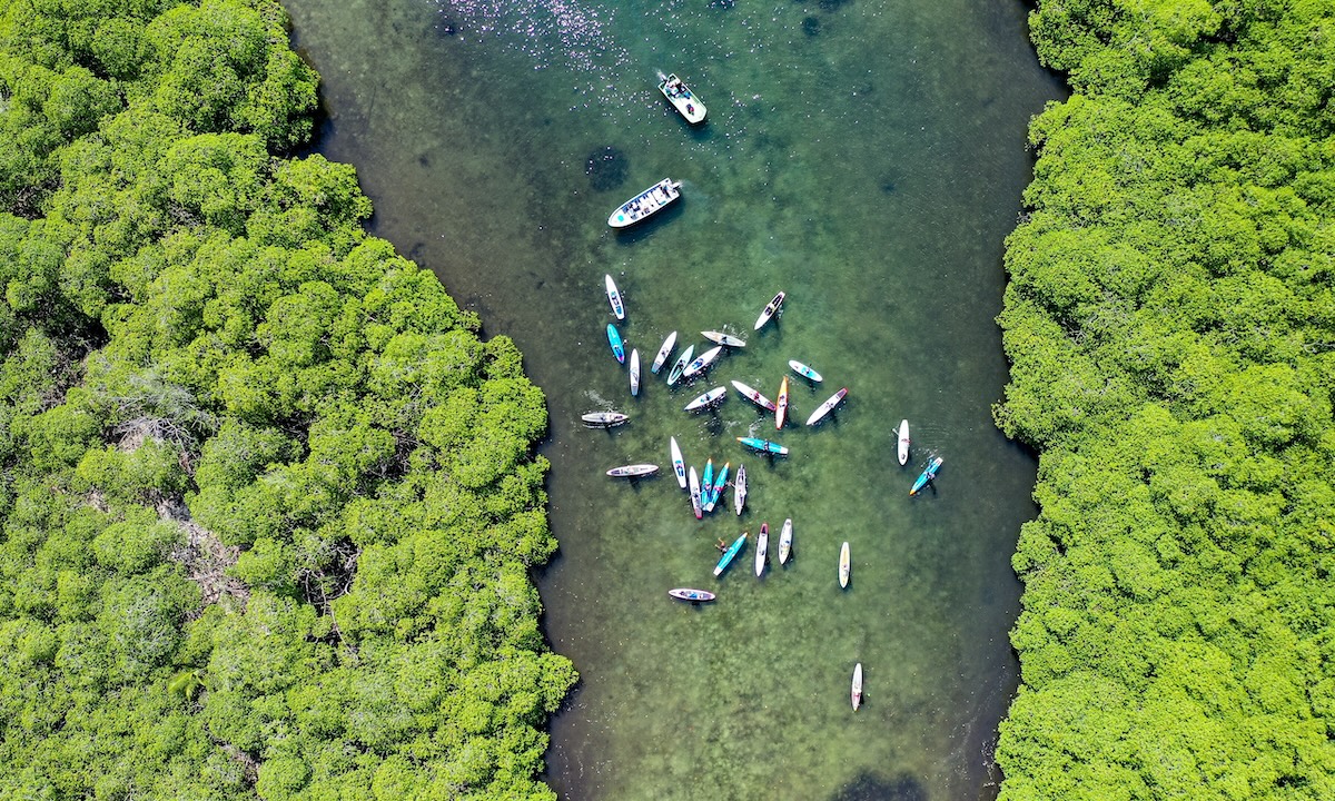 photo of the week