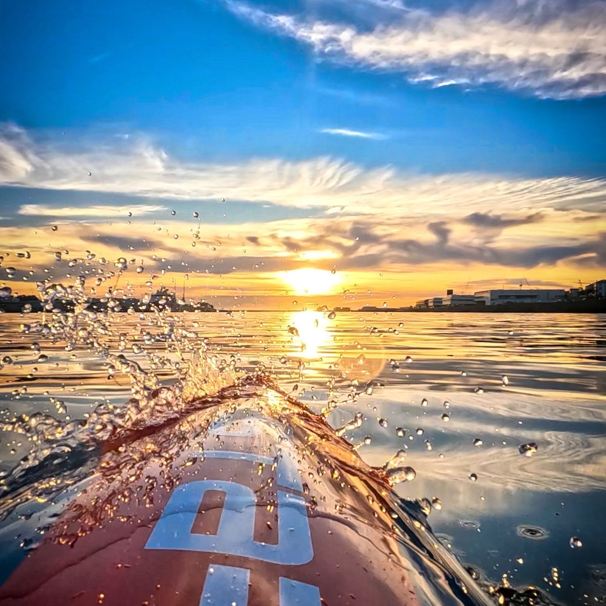 photo of the week